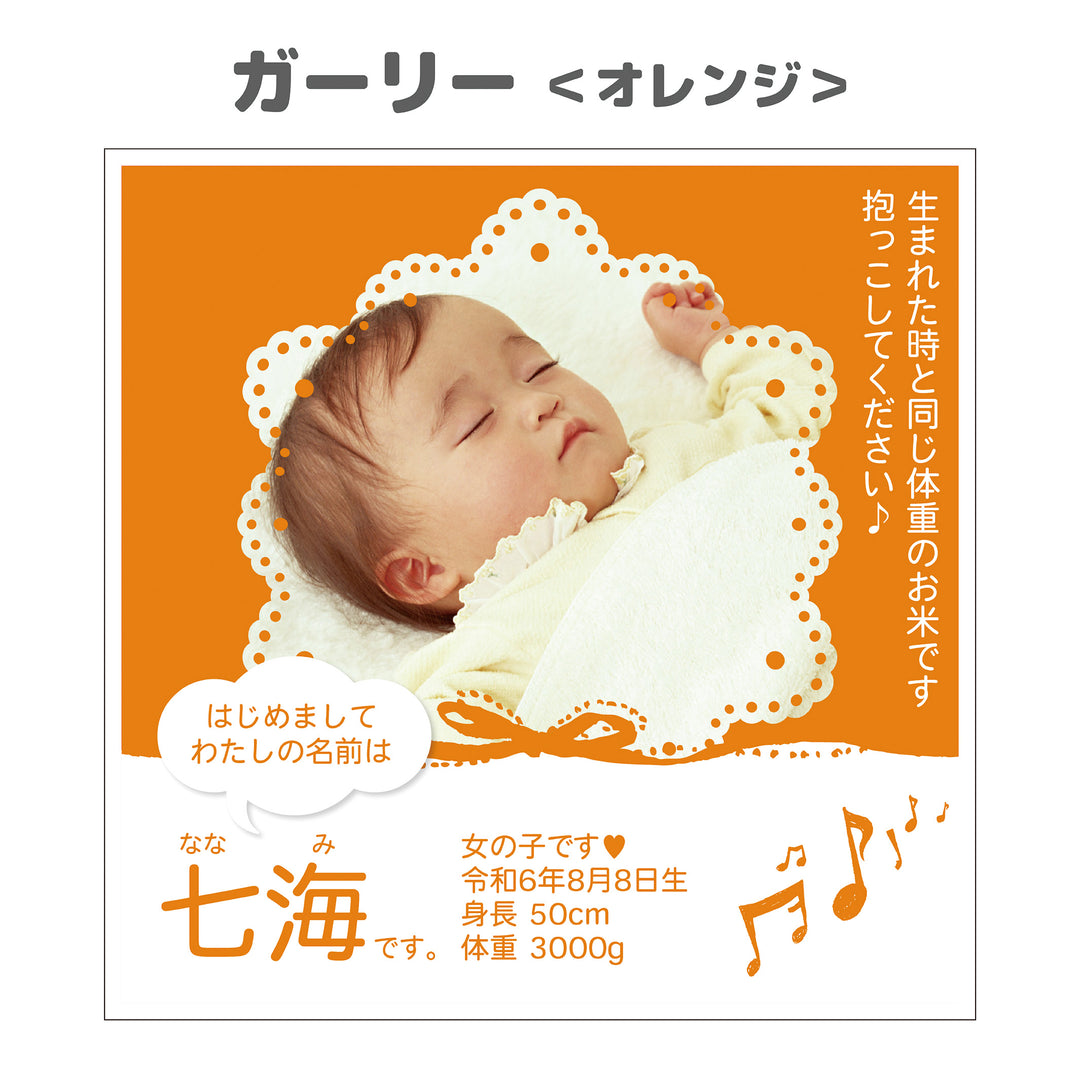 赤ちゃん米　スタンダード