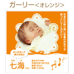 赤ちゃん米　スタンダード