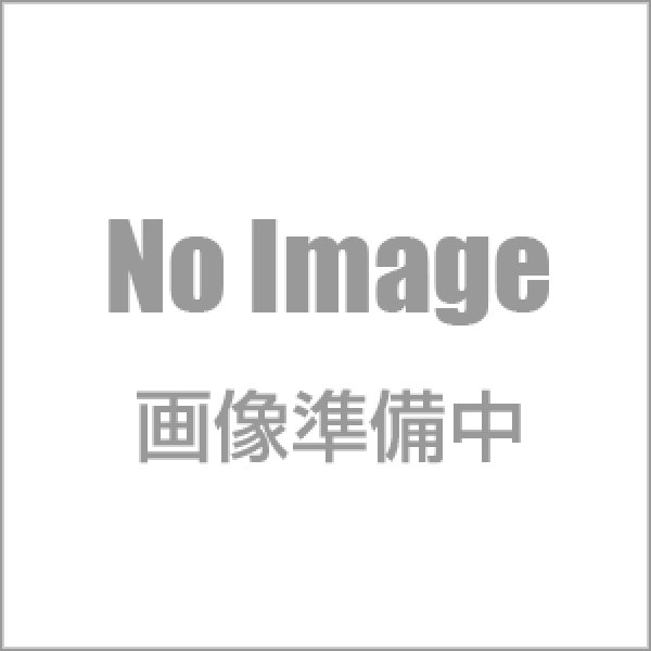 画像1: 千代の光 化粧箱 1.8L×1本入 (1)